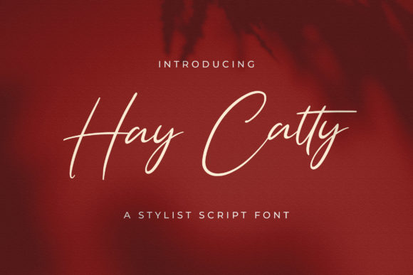 Hay Catty: A Script Amp That Feels Like a Hand-Drawn Secret