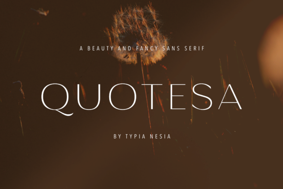 Quotesa: The Font That Elevates Your Brand